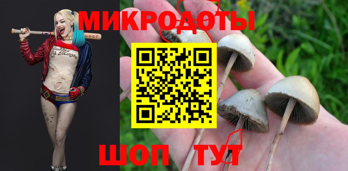 Галлюциногенные грибы Cubensis  Вход с VPN  Павлово 